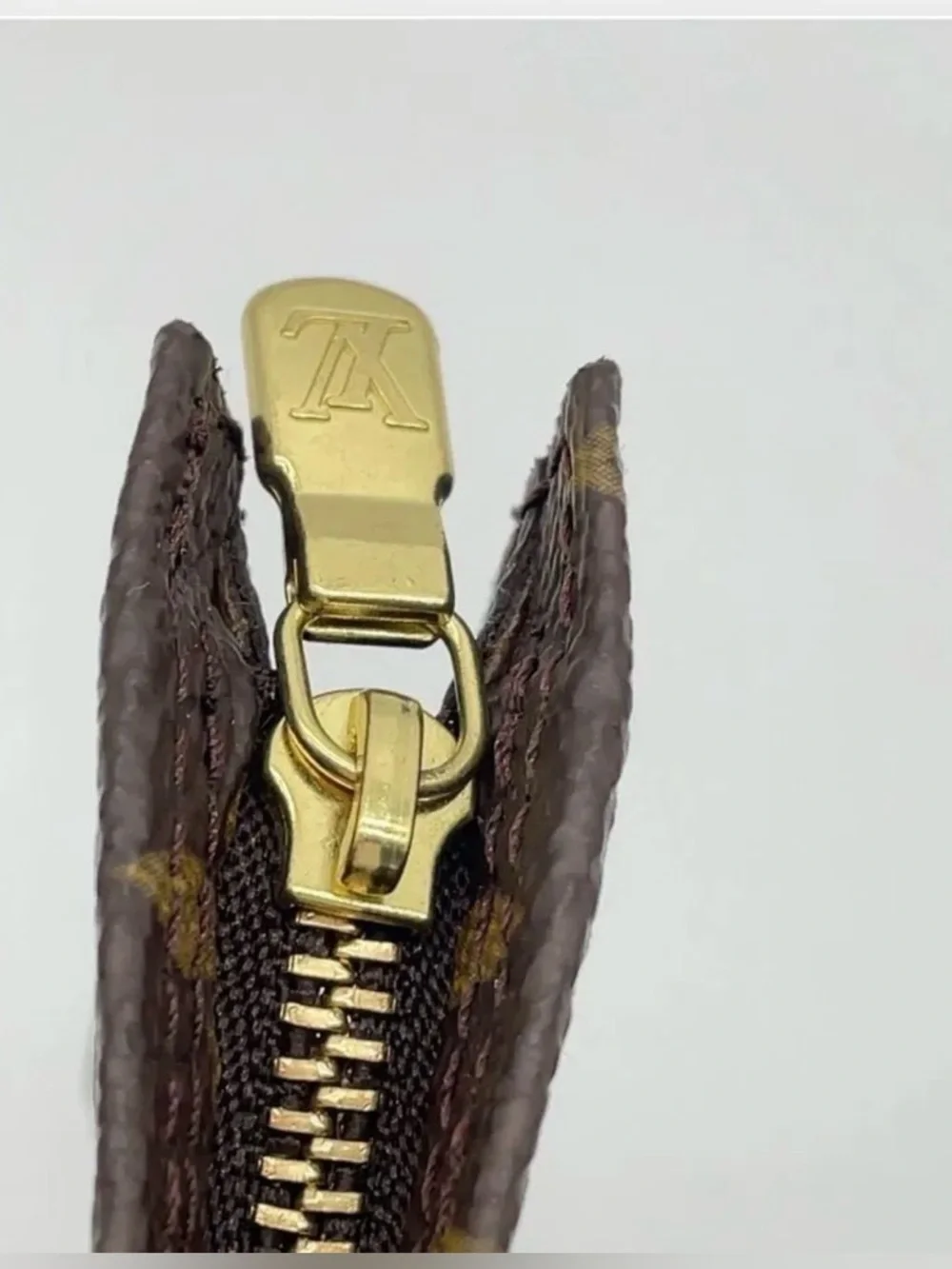Louis Vuitton brand louis